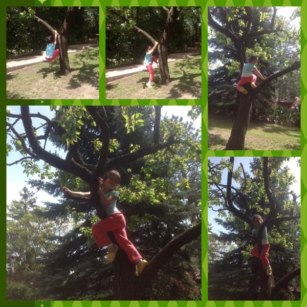 10245473_471930102937987_7324718110998102080_n